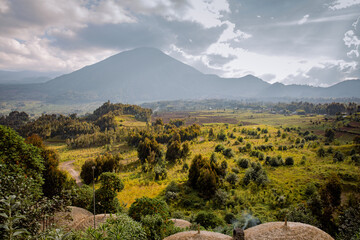 Rwanda volcanoes national park © djoslin