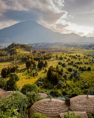 Rwanda volcanoes national park