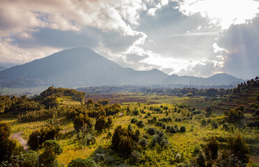 Rwanda volcanoes national park