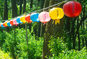 석가탄신일,부처님 오신날 연등