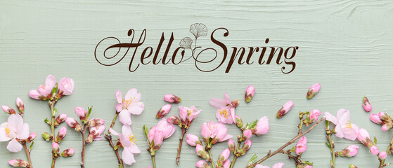 Fototapeta na wymiar Banner with text HELLO SPRING and beautiful blossoming tree branches