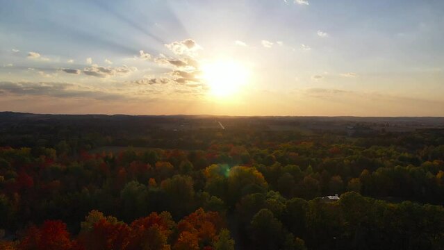 Drone view of sunset in the forest
