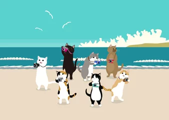 Gardinen 夏のビーチでクラシック風カメラで写真を撮る7匹の猫 © photopic