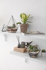 Shelves with florariums, houseplants and books on light wall