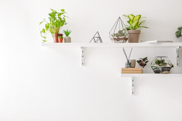 Shelves with florariums, houseplants and books on light wall