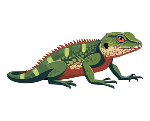 Colorful reptile animal
