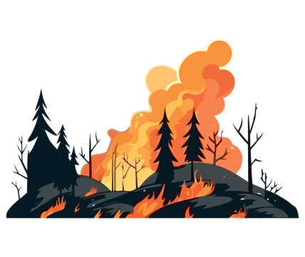 forests burning design