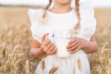 little blonde girl with pigtails in a rye field with a mug of milk, the concept of healthy eating,...