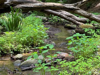 Nature photos, trail photos, outdoor nature photos