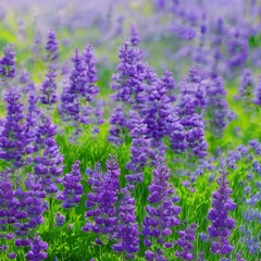 A watercolor wash in shades of lavender and violet4, Generative AI