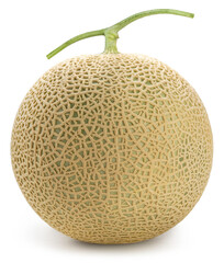 Shizuoka Crown Melon or cantaloupe isolated on white background,Yellow Crown Musk Melon isolated on white background With clipping path.