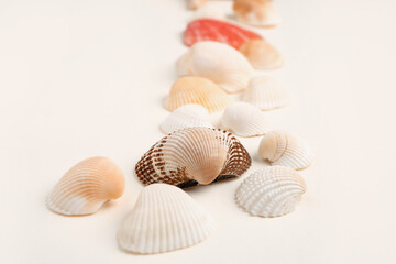 Fototapeta na wymiar Beautiful seashells on beige background