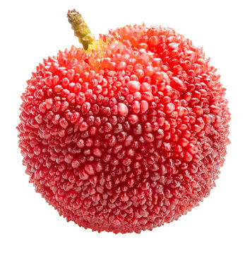 Red Yangmei or Arbutus berries fruit on white, Red Bayberry, Yumberry, Yamamomo, Waxberry on white with PNG File.