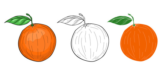 Orange with leaves vector illustration