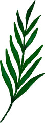 watercolor leaves, vector, design, illustration, graphic
