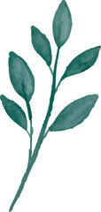 watercolor leaves, vector, design, illustration, graphic