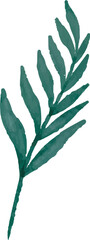 watercolor leaves, vector, design, illustration, graphic
