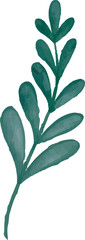 watercolor leaves, vector, design, illustration, graphic