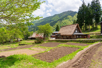 World heritage site Gokayama Ainokura Village at Toyama, Japan.