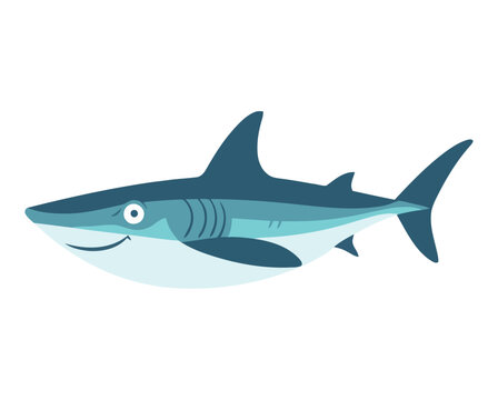 Swimming shark mascot