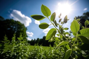 lush green plant basking in the warmth of the sun Generative AI