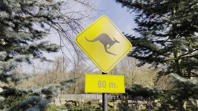 Kangaroo crossing sign in 80m in desert. Kangaroo traffic warning yellow sign. Watch out for Kangaroos wildlife signage in Australia 
