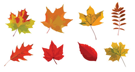 autumn leaves collection	