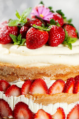 Victoria Sponge Cake with delicious Chantilly cream and fresh strawberries