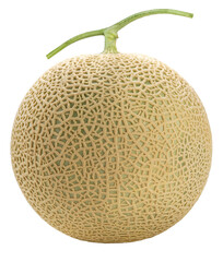 Shizuoka Crown Melon or cantaloupe on white background,Yellow Crown Musk Melon on white background...