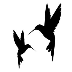 bird silhouette, vector illustration
