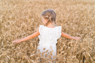 a little blonde girl with pigtails stands with her back and touches ears of corn in a rye field...