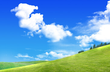 Landscape with green grass under blue sky with clouds.