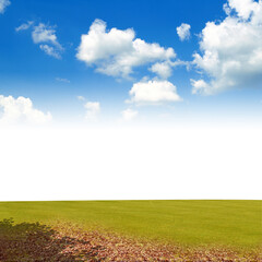 Landscape with green grass under blue sky with clouds.