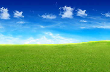Landscape with green grass under blue sky with clouds.