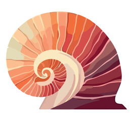 Obraz premium Seashell mollusk nautilus, conch shell