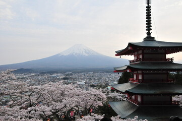 日本の風景、富士山、五重塔、桜