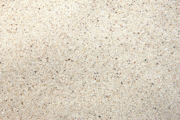 Drawing  starfish, shells  paper on the beach sand background.
