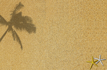 Drawing  starfish, shells  paper on the beach sand background.