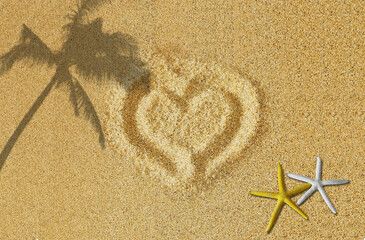 Drawing  starfish, shells  paper on the beach sand background.
