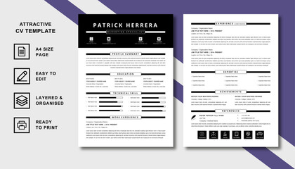 professional resume template 2023