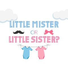 Little mister or Little sister? Gender reveal party card, banner vector element design