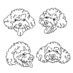 four expressive toy poodle faces, line art, ugly portrait