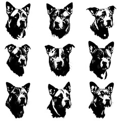 Dog vector set illustration on white background