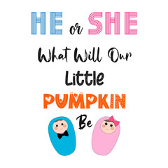He or She What will our little pumpkin be. Gender reveal party card, banner vector element design