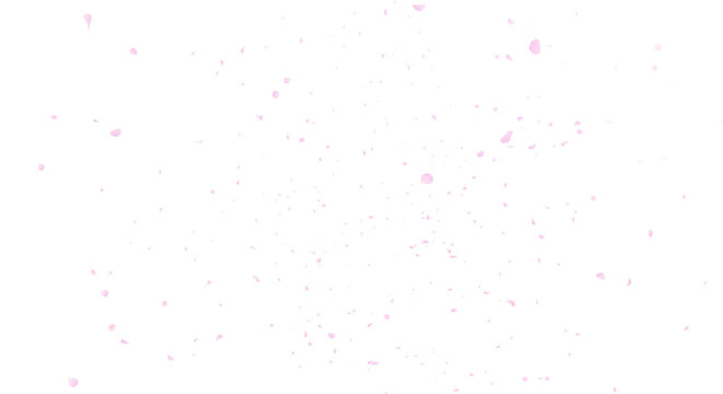 桜の花柄ピンク色打掛 キララシリーズはなびら、サクラ吹雪、 桜の花柄ピンク色打掛 キララシリーズはなびら、サクラ吹雪、