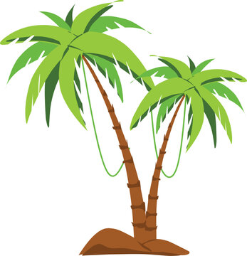 palm tree isolated on white. Vector illustration
