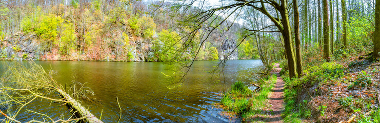 Panoramic view over a forest hiking trail in magical deciduous and pine forest with ancient aged tree at riverside, Germany, at warm sunset Spring evening