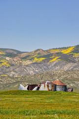 super bloom and old buildings on the Carrizo plain