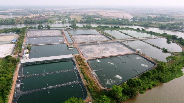 Power windmills flow oxygen into the pond. Aerial view of shrimp farmland countryside. The landscape of aquaculture environmental agriculture farm.