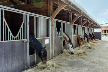 Stable with its horses eating hay in an equestrian center © Image'in